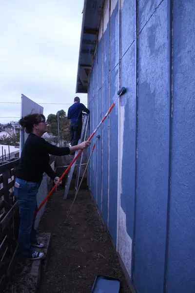 DSC_1305 (Large).JPG